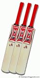 Hawk Cricket Runmaker Bats Combo