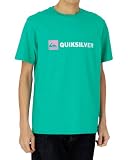 (クイックシルバー)QUIKSILVER NEW LOGOニュー ロゴ