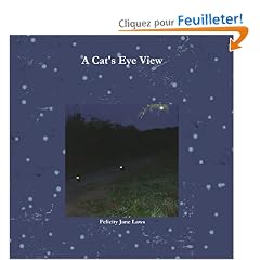 A Cat's Eye View
