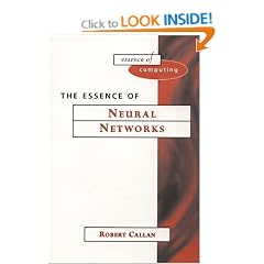 The Essence of Neural Networks (Essence of Computing)