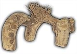 UPC 644472000344 product image for Java Wood Spider Root - Small | upcitemdb.com