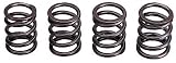 Crane 99884-8 Dual Valve Spring - Set of 8