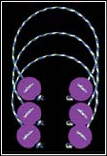 Blongo Family Fun BB-2 S-PU BlongoBall Soft Accessory Pack (Purple)