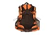 Alps Mountaineering Solitude Day Pack from ALPS Mountaineering