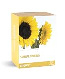 Gift Republic Grow It. Grow Your Own Sunflowers