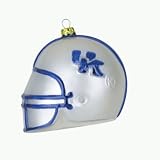 NCAA Kentucky Wildcats Team Glass Helmet 3