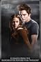 Twilight 2010 Poster Wall Calendars