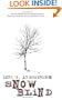 Snow Blind (PI Julie Collins series #4)