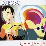 Chihuahua 画像