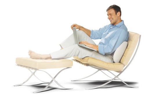 HoMedics Ortho Therapy Lumbar Cushion Support Pillow with Velour Cover under The Kitchen Store