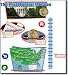 Presidential Election Bulletin Board Set