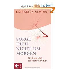 Sorge dich nicht um morgen: Die Bergpredigt buddhistisch gelesen