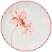 Price Comparison : Noritake Colorwave Raspberry Floral Accent Plates, Set of 4