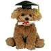 TY Classics Grad - Graduation Dog with Diploma 2007