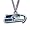 Seattle Seahawks