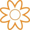 Visit This External Website