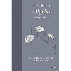 Petit pr�cis d'Alg�bre � d�guster