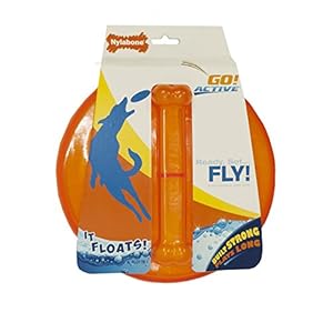 Nylabone Go Active Flying Disk