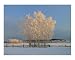 Creamer Field Emerging Artists Photographic Poster Print by Louise Magno, 10x8
