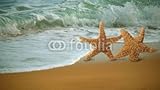 Wallmonkeys Peel and Stick Wall Decals - Adorable Star Fish Walking along the Beach - 48