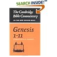 Genesis 1-11 (Cambridge Bible Commentaries on the Old Testament) by Robert Davidson