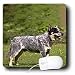 Dogs Australian Cattle - Australian Cattle Dog - Mouse Pads Image
