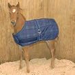 Weatherbeeta Jasper Growing Foal Adjustable Blanket