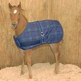 Weatherbeeta Jasper Growing Foal Adjustable Blanket