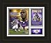 Minnesota Vikings Framed Adrian Peterson 296 Rushing Yards Milestones and Memories -