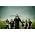 Miniaturansicht von Dark Tranquillity