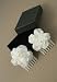 Diamond White Bridal Shoes Beautiful Bridal Box of 2 Small White Flower Combs Fascinators. This item comes packed in a black gift box