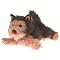 Puppy Crazy!  Puppy treasures for your puppy loving child :)
