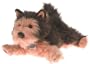 Cold Nose Kisses Amazing Puppies - Yorkshire Terrier