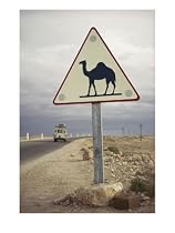 Beware of Camels Sign Along an Algerian Highway Photographic Poster Print by Thomas J. Abercrombie, 12x16