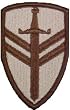 2nd Support Brigade Desert Patch