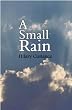 A Small Rain