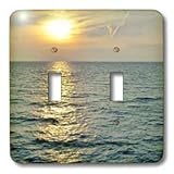 IMAGE OF Florene Sunset - Silver Reflections - Light Switch Covers - double toggle switch