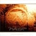 Selected Ambient Works Vol. 2