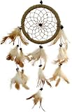 DREAMCATCHER-NATURAL W.RAINBOW CENTER