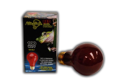 100 Watt Red Nite Brite Heat Bulb