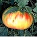 Old German Tomato 25 Seeds - Mennonite HEIRLOOM
