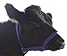 Derby Originals Nylon Cattle Halter at Wholesale Price Cow, Steer, Calf & Newborn - 5 Colors