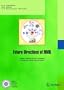 Future Directions of NMR