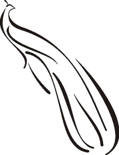 Imagen 2 de Etiqueta de la pared d350 pavo real 40x30 cm