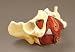 Anatomical Model Composite Human Pelvis & Pelvic Floor-267A