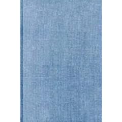 A Portuguese-English Dictionary