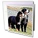 Dogs Bernese Mountain Dog - Bernese Mountain Dog - Greeting Cards-12 Greeting Cards with envelopes