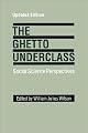 The Ghetto Underclass: Social Science Perspectives (The Annals of the American Academy of Political and Social Science, Vol 501)