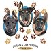 German Shep-Puppy Love Adult T-Shirt