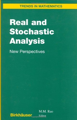 Real and Stochastic Analysis: New Perspectives (Trends in Mathematics)